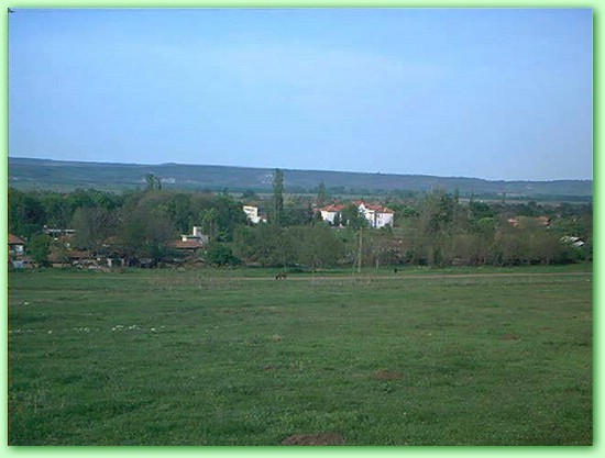 s1.jpg