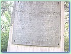 p1.jpg